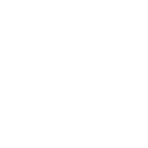 Louisiana State Seal